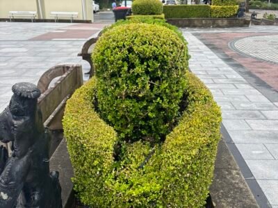 KVM Landscaping & Building maintenance