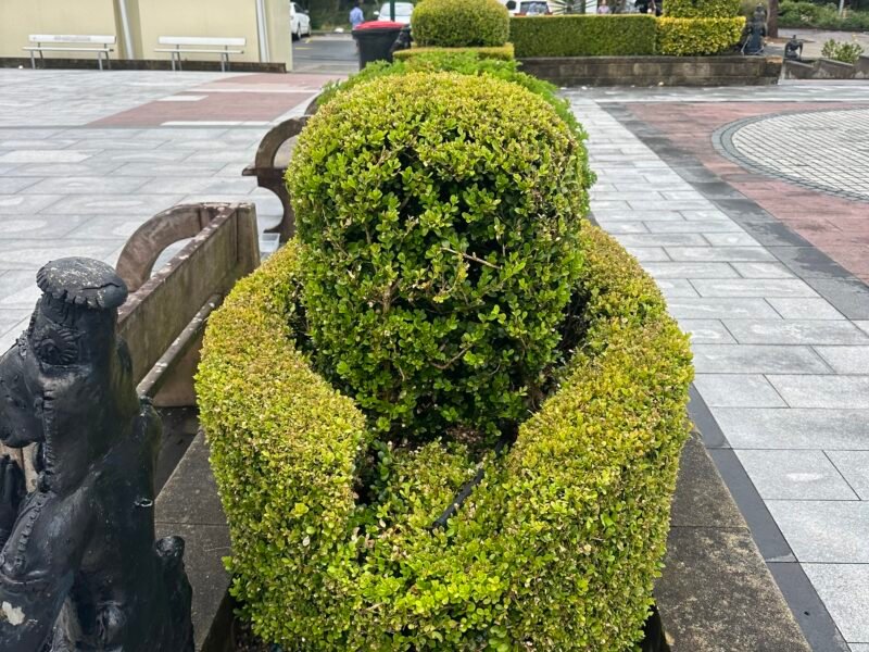 KVM Landscaping & Building maintenance