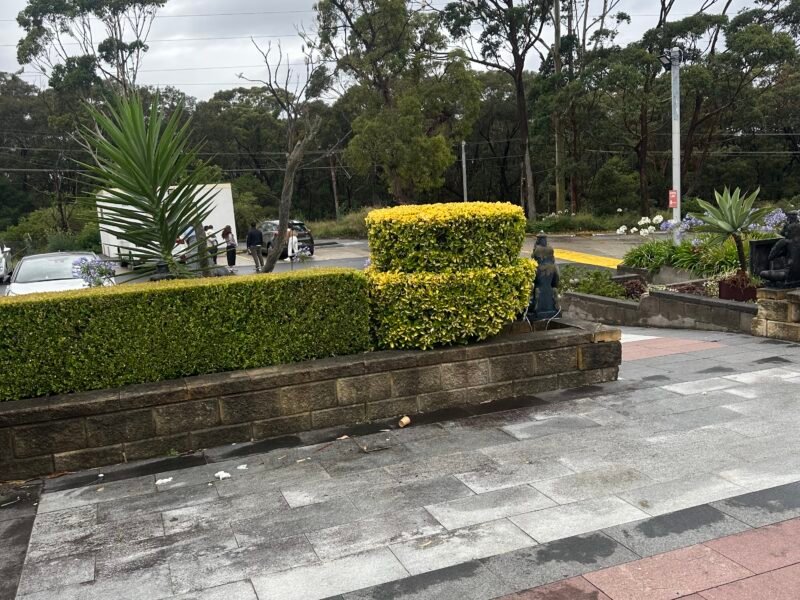 KVM Landscaping & Building maintenance